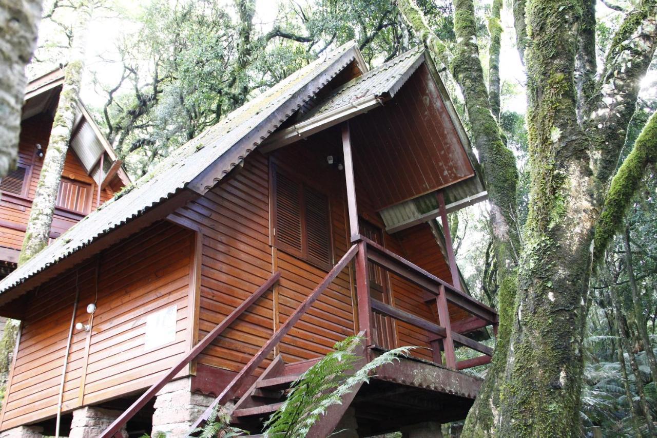 Recanto Da Mata Pousada São Francisco de Paula Extérieur photo