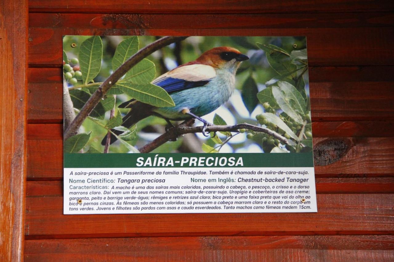 Recanto Da Mata Pousada São Francisco de Paula Extérieur photo