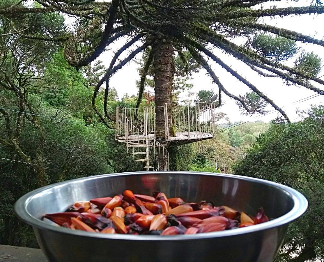Recanto Da Mata Pousada São Francisco de Paula Extérieur photo