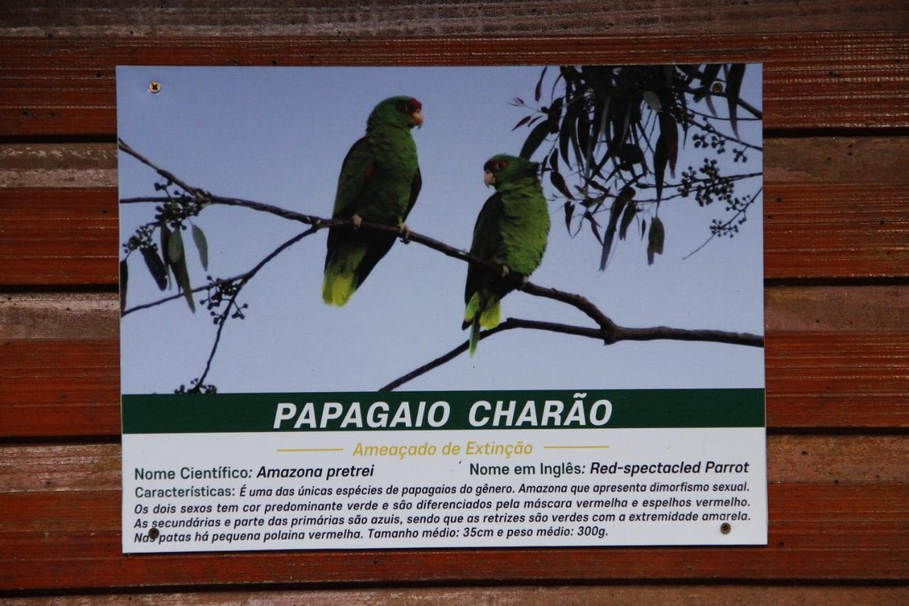 Recanto Da Mata Pousada São Francisco de Paula Extérieur photo