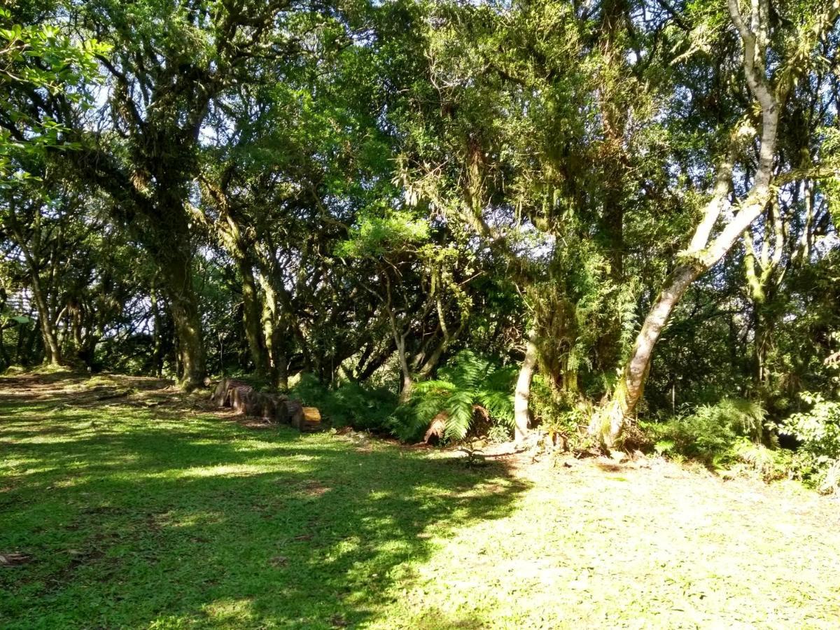 Recanto Da Mata Pousada São Francisco de Paula Extérieur photo